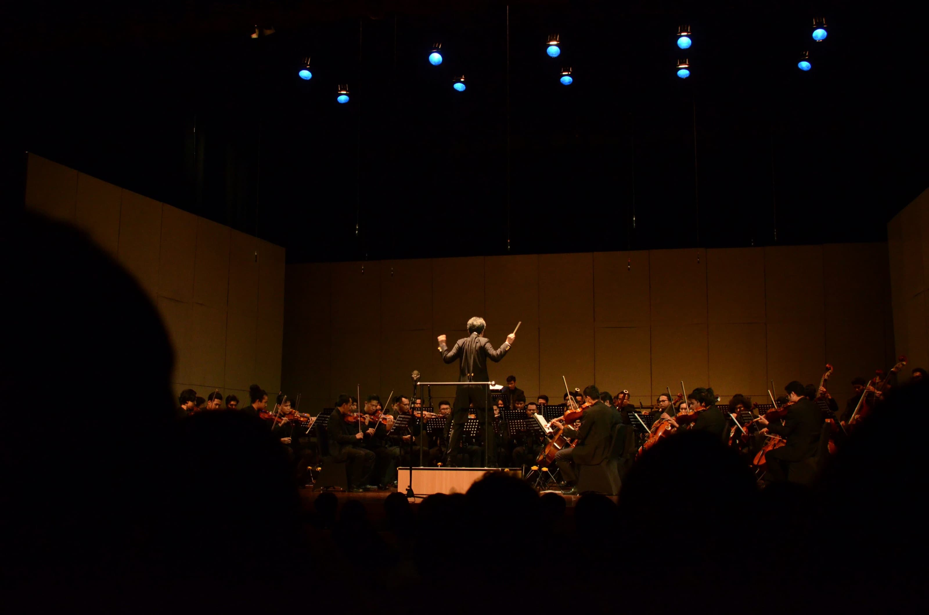A conductor on a podium directing an orchestra, seen from the back of a darkened concert hall